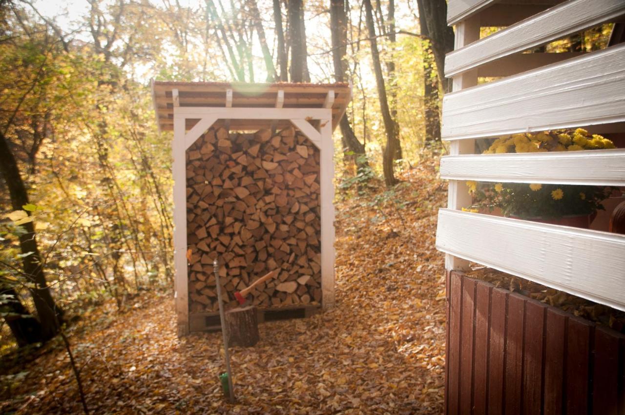 Noszvaj Cabin Екстериор снимка