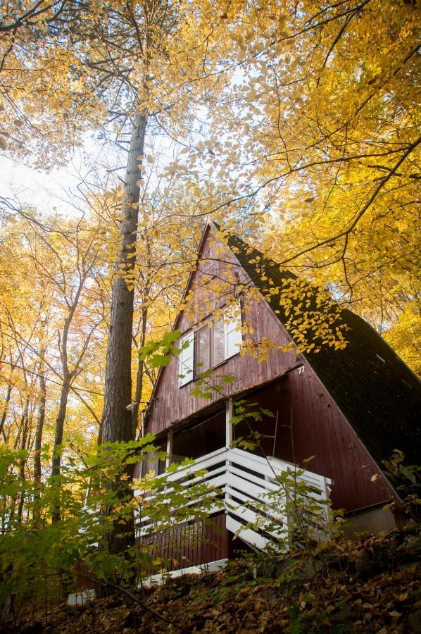 Noszvaj Cabin Екстериор снимка